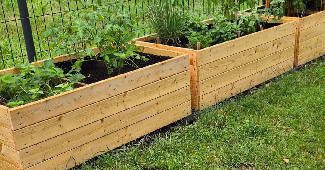 jarni_vysadba_zeleniny